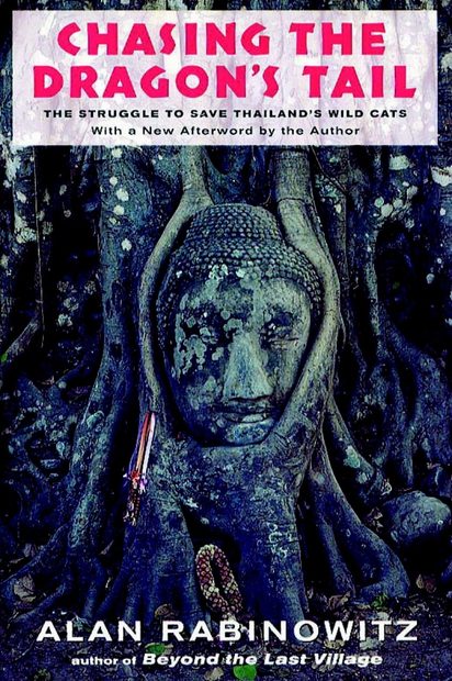 Chasing the Dragon's Tail