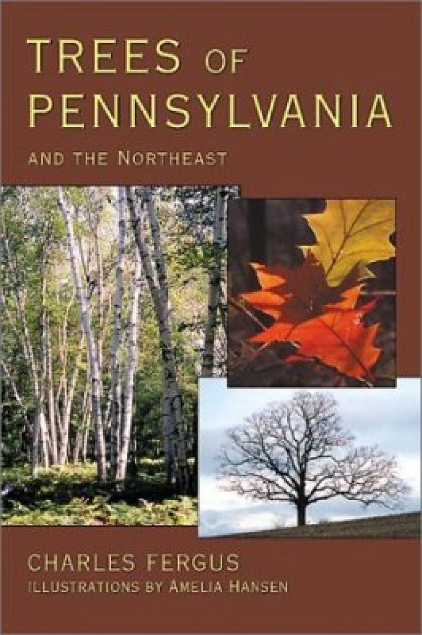 Trees of Pennsylvania and the Northeast | NHBS Field Guides &amp; Natural History