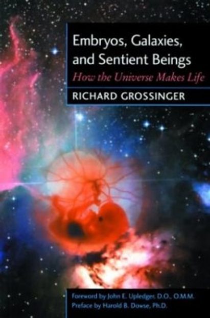 Embryos, Galaxies and Sentient Beings
