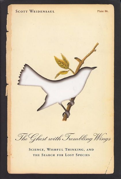 The Ghost with Trembling Wings