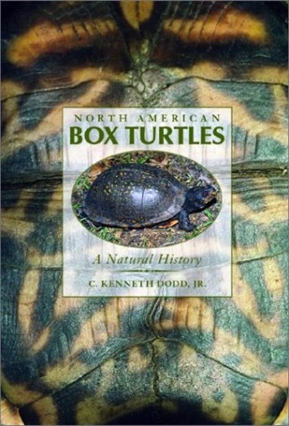 North American Box Turtles