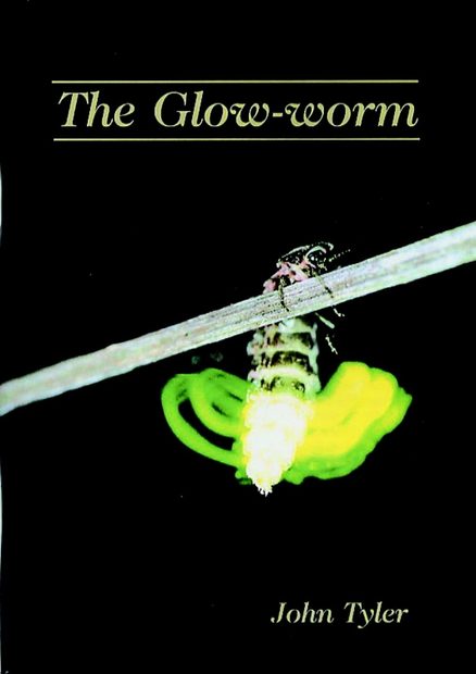 The Glow-Worm