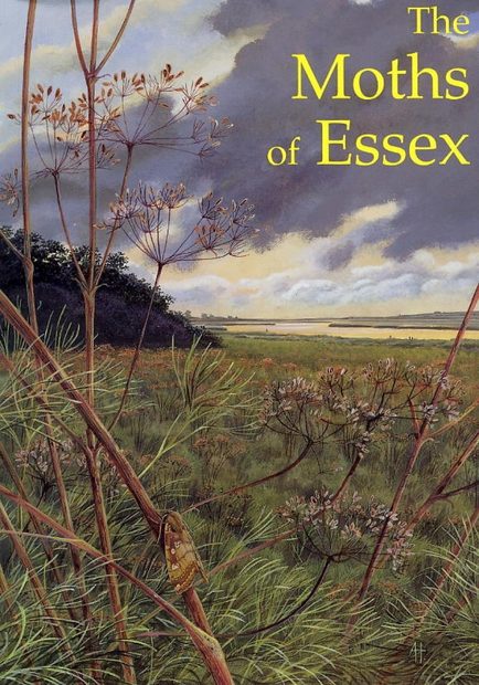 The Moths of Essex