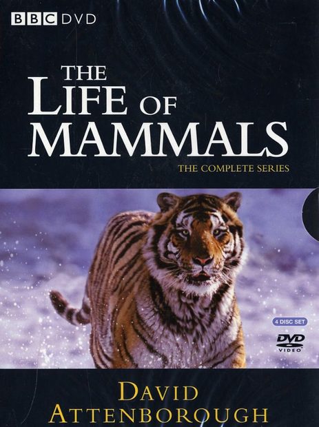 The Life of Mammals - DVD (Region 2)