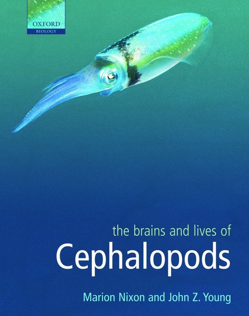The Brains and Lives of Cephalopods