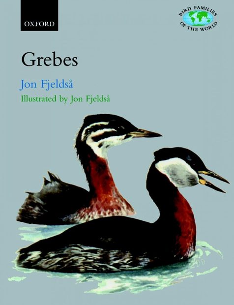 Grebes: Podicipedidae