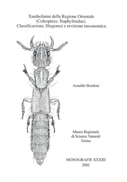 Xantholinini della Regione Orientale (Coleoptera: Staphylinidae): Classificazione, Filogenesi e Revisione Tassonomica [Xantholinini of the Oriental (Coleoptera: Staphylinidae): Classification, Phylogeny and Taxonomic Revision]