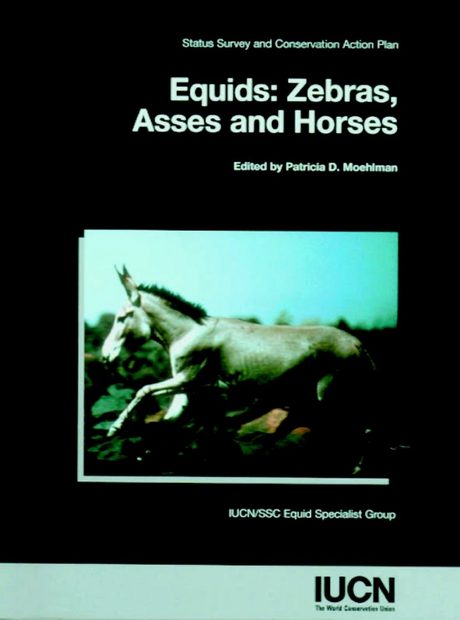 Equids