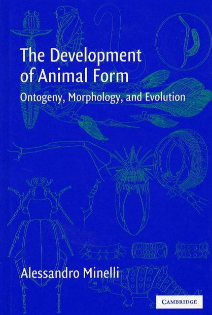 The Development of Animal Form