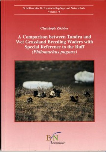 A Comparison between Tundra and Wet Grassland Breeding Waders with Special Reference to the Ruff (Philomachus pugnax)