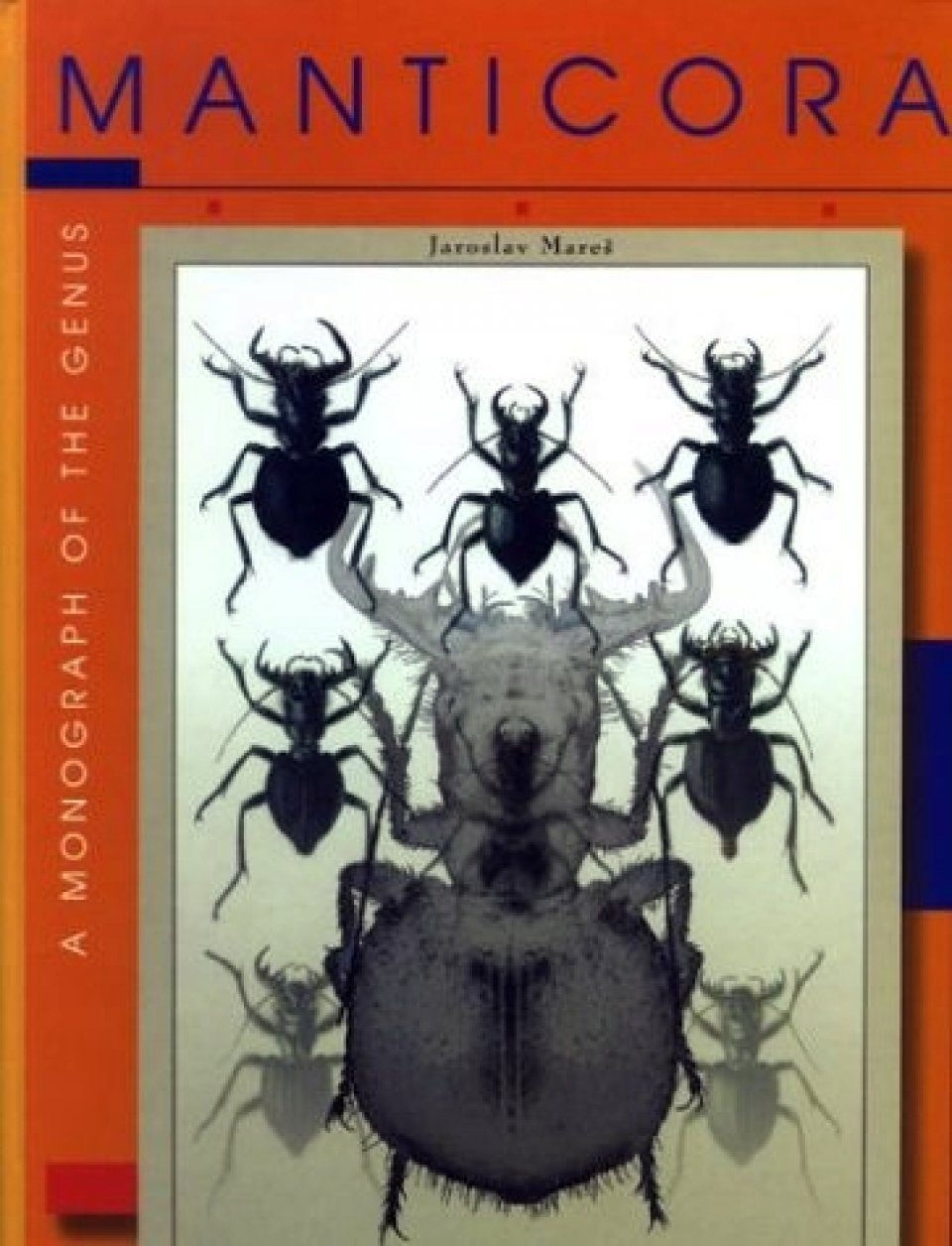 A Monograph of the Genus Manticora | NHBS Academic & Professional Books