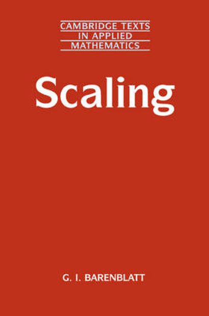 Scaling Phenomena