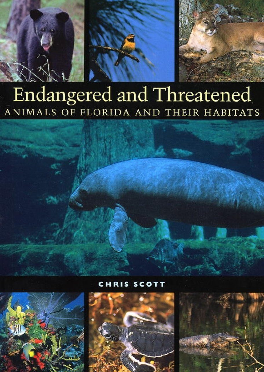Endangered and Threatened Animals of Florida and their Habitats | NHBS  Academic & Professional Books