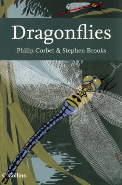 Dragonflies
