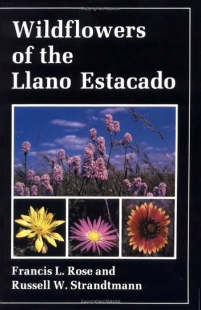 Wildflowers of the Llano Estacado