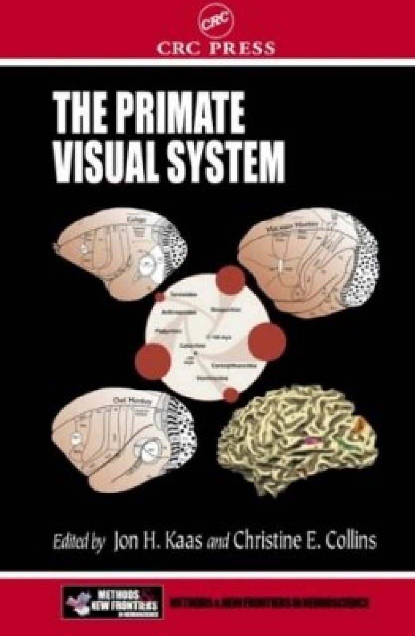 The Primate Visual System | NHBS Academic & Professional Books