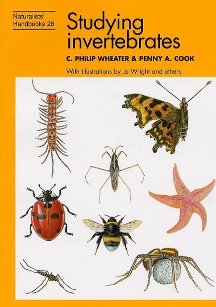 Studying Invertebrates