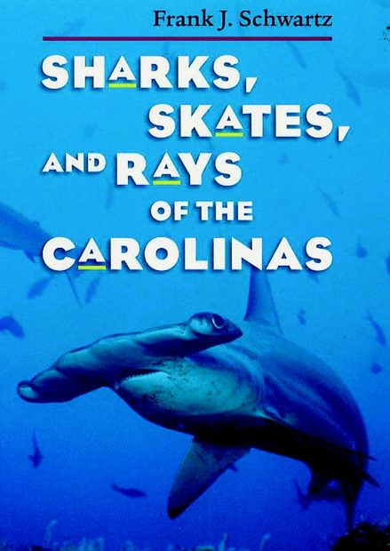 Sharks, Skates, and Rays of the Carolinas