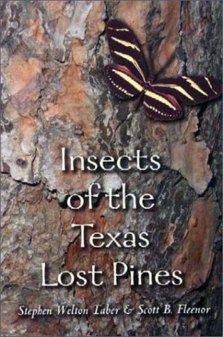Insects Of The Texas Lost Pines Nhbs Academic