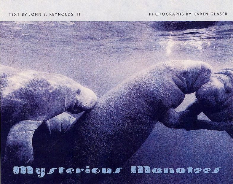 Mysterious Manatees