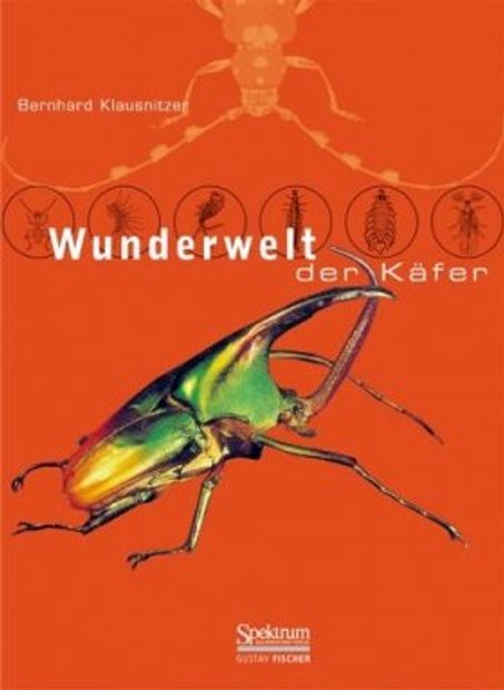 Wunderwelt der Käfer