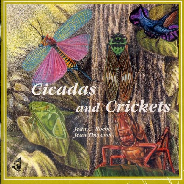 Cicadas and Crickets / Cigales et Grillons | NHBS Academic ...