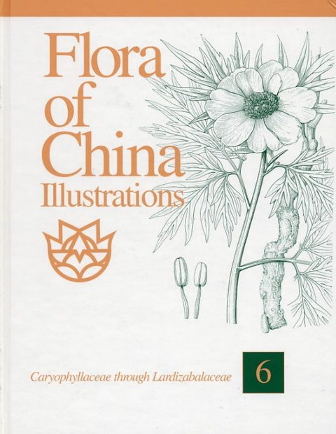Flora of China Illustrations, Volume 6