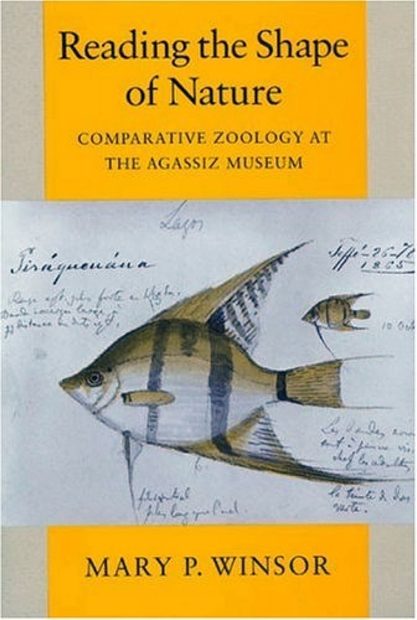 Reading the Shape of Nature