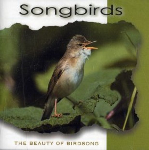 Songbirds