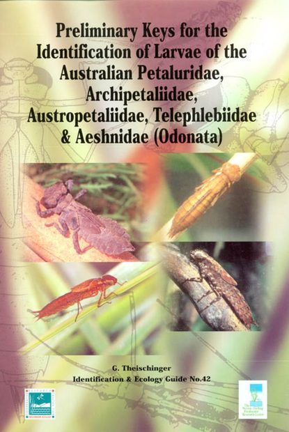 Preliminary Key for the Identification of Larvae of the Australian Petaluridae, Archipetaliidae, Austropetaliidae, Telephlebiidae & Aeshnidae (Odonata)