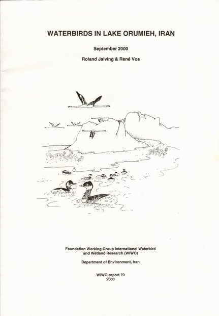 Waterbirds in Lake Orumieh, Iran