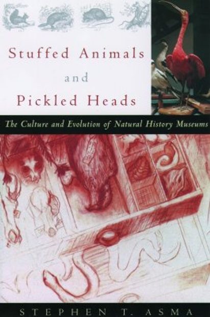 Stuffed Animals and Pickled Heads