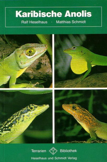 Karibische Anolis [Caribbean Anolis]