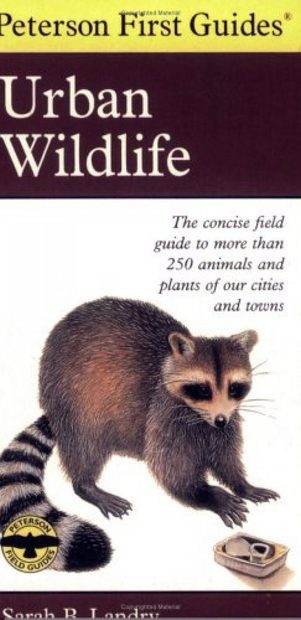 Peterson First Guide to Urban Wildlife