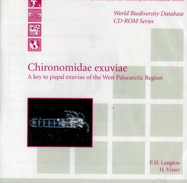 Chironomidae Exuviae