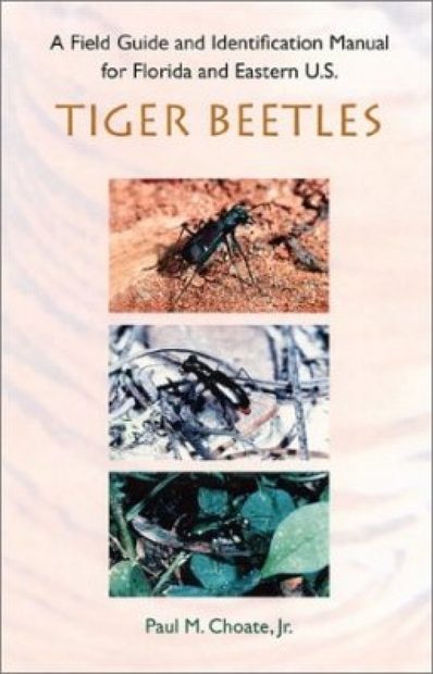 Field Guide and Identification Manual for Florida and Eastern U.S. Tiger Beetles