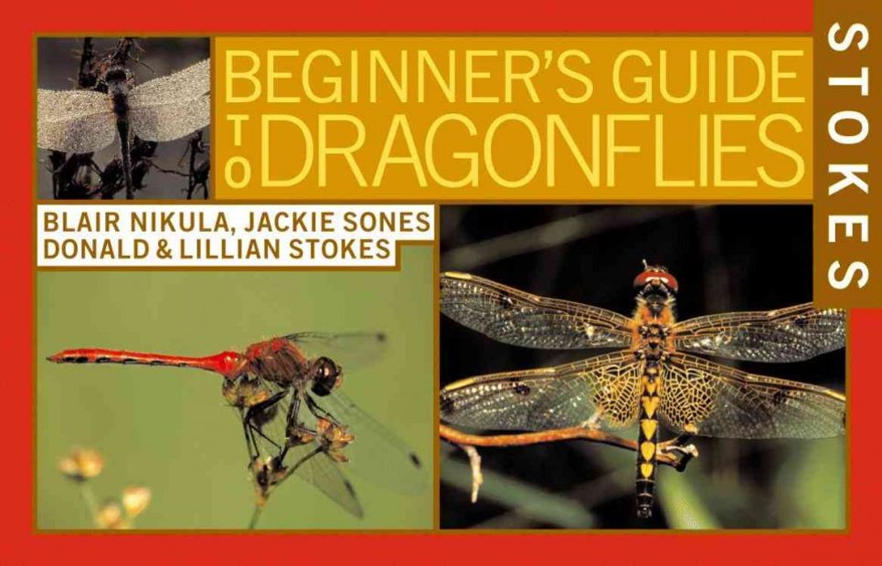 Stokes Beginner's Guide to Dragonflies and Damselflies