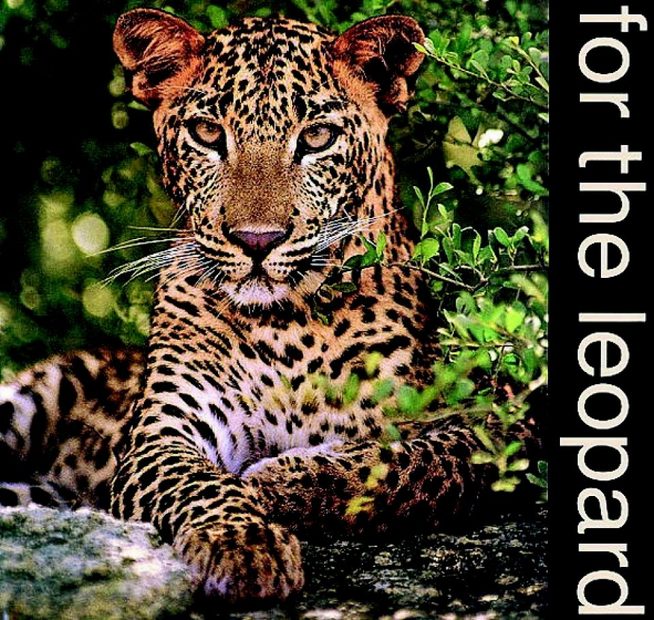 For the Leopard