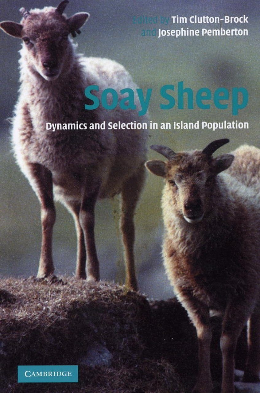 Soay Sheep: Dynamics and Selection in an Island Population | NHBS ...