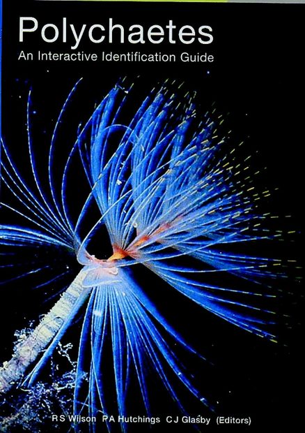 Polychaetes: An Interactive Identification Guide