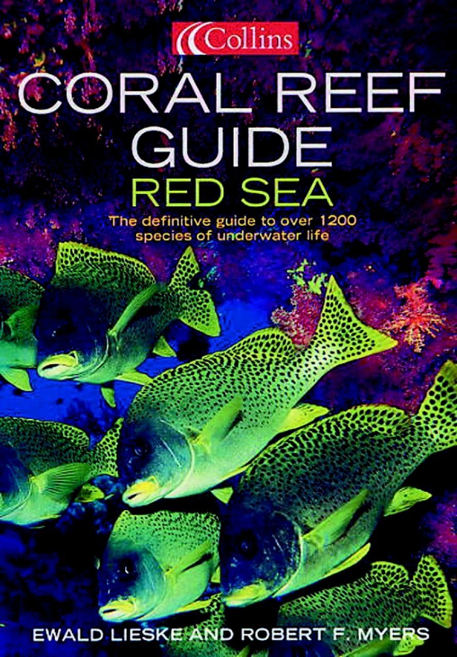 Collins Coral Reef Guide Red Sea Ewald Lieske And Robert