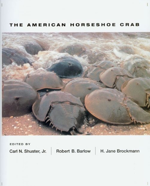 The American Horseshoe Crab