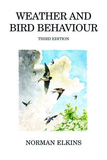 Weather and Bird Behaviour
