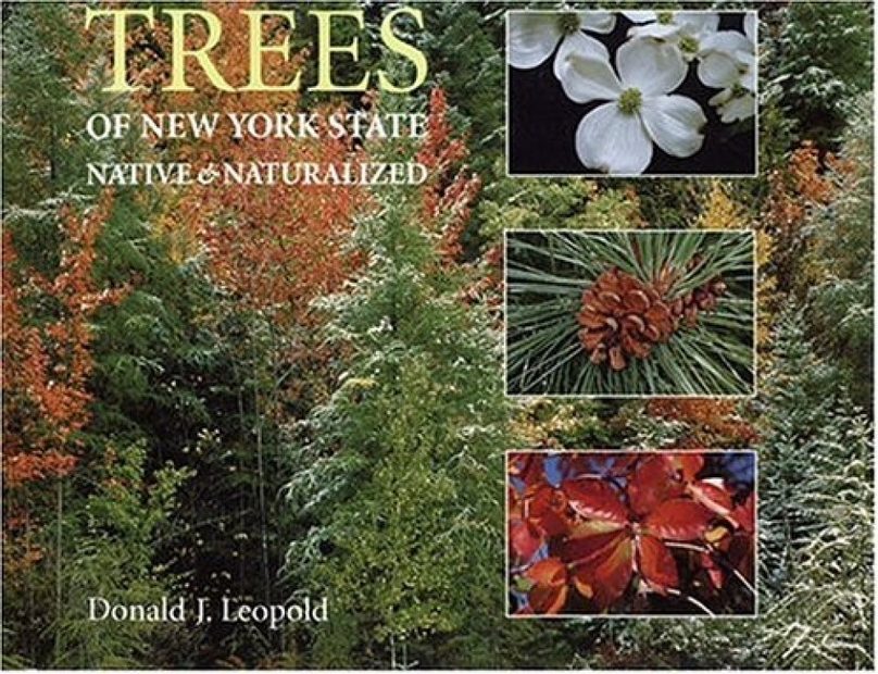 Trees of New York State