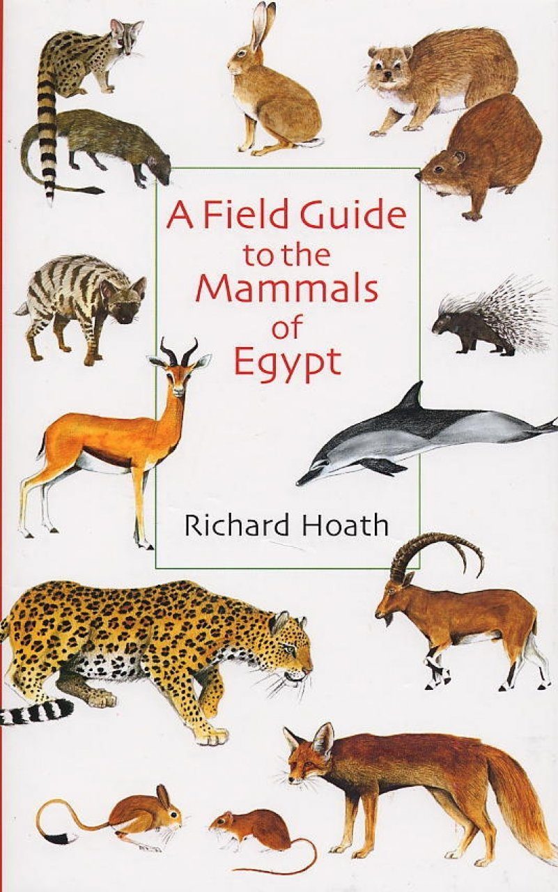 A Field Guide To The Mammals Of Egypt