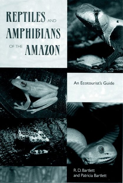 Reptiles and Amphibians of the Amazon