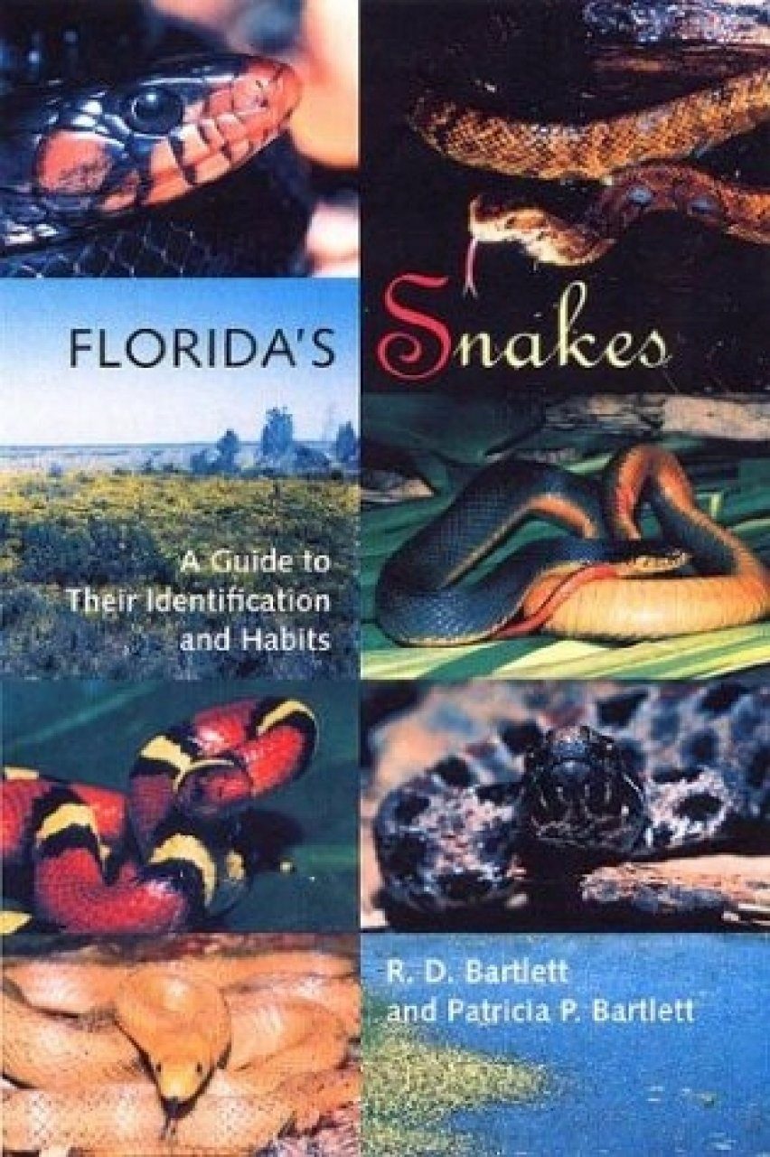 Florida's Snakes: A Guide To Their Identification And Habits | NHBS ...