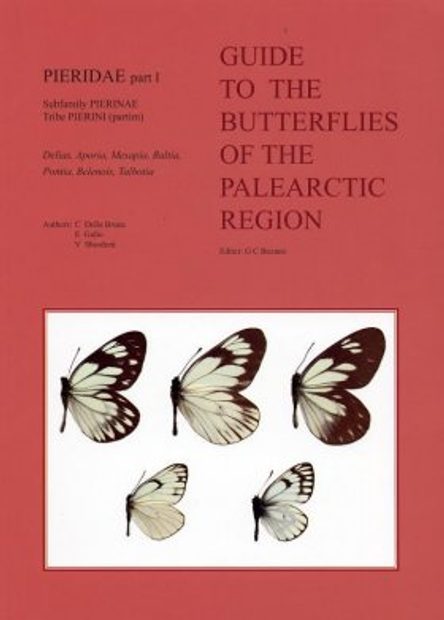 Pieridae Part 1 (Guide to the Butterflies of the Palearctic Region)