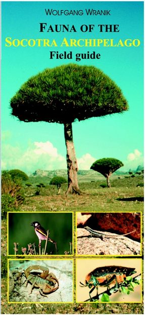 Fauna of the Socotra Archipelago