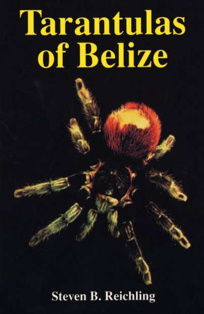Tarantulas of Belize